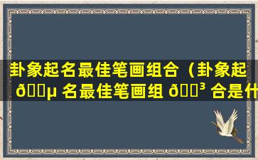 卦象起名最佳笔画组合（卦象起 🐵 名最佳笔画组 🐳 合是什么）